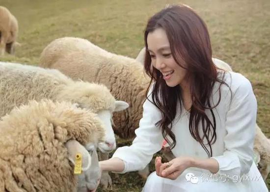 明星旅行糗事一籮筐 總有一個萌到你！