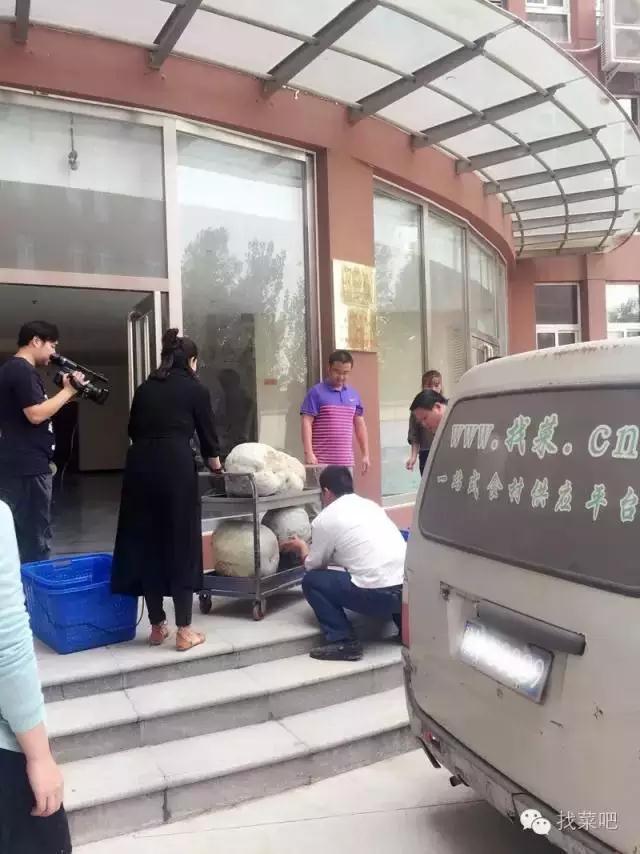 找菜網(wǎng)認(rèn)購百萬斤冬瓜，解農(nóng)戶燃眉之急