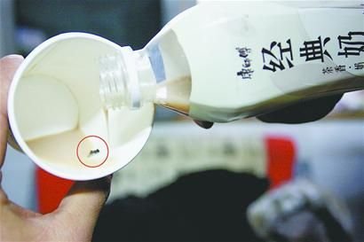 田先生喝的經(jīng)典奶茶中有一只蒼蠅。