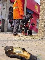 老漢右腿燒傷，樹下扔了一只燒焦的鞋