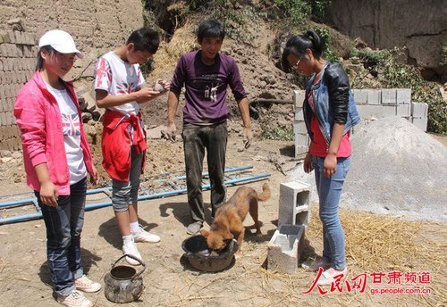 渴壞了的小黃狗在喝水。王生元/攝