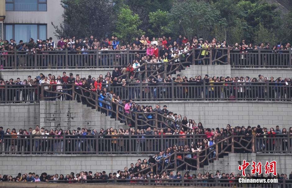 重慶上萬粉絲在南濱路等待《奔跑吧兄弟》節(jié)目的錄制。