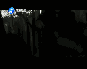 數(shù)以噸計(jì)的假名酒流向市場 記者臥底揭利益黑幕