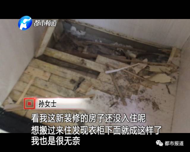 蟻族大軍入侵！十幾萬裝修的新家被“吃掉”