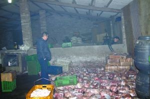  警方現(xiàn)場(chǎng)查獲的大量病死豬肉及“問(wèn)題”腌臘制品。 沙區(qū)警方供圖