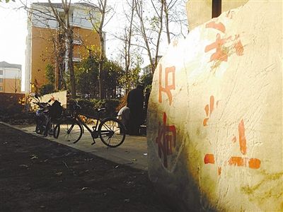 昨日，“上海奇石盆景博物館”原址上，已矗立起小區(qū)樓盤，而刻著博物館名的巨石，廢棄在一旁。本版圖片/新京報記者 張永生 攝