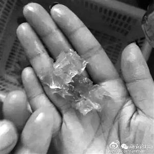 溫州市民買到“注膠蝦”業(yè)內(nèi)人稱為增加重量 溫州市民買到“注膠蝦”業(yè)內(nèi)人稱為增加重量