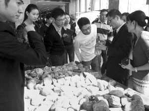 前段時(shí)間，夫子廟古玩城舉行的一場賭石活動(dòng)，吸引了不少人參與