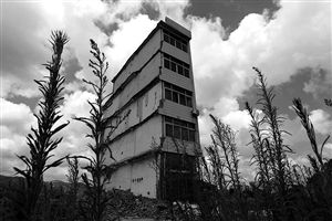 這幢5層的“片片樓”周圍已是一片拆遷后的廢墟，左邊的一堵墻上，不少鋼筋裸露在外面 圖片來源：新華網(wǎng)