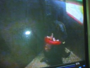 男子將侯某撲倒，侯某反抗。