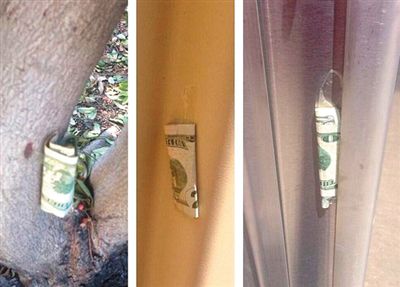 “隱藏的鈔票”會(huì)被神秘人藏在公園、廁所等“奇怪的地方”。