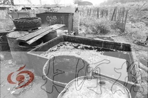 　　骯臟、令人作嘔的油桶凌亂地?cái)[放在院子里，為了避免視覺刺激，我們把它做成了黑白圖片。