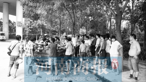 北環(huán)南陽(yáng)路立交橋下，瓜農(nóng)小秦被打后，附近瓜農(nóng)紛紛圍了上來(lái)