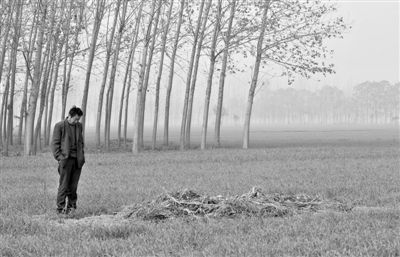 11月21日，高松中站在腦癱雙胞胎兒子墳前。