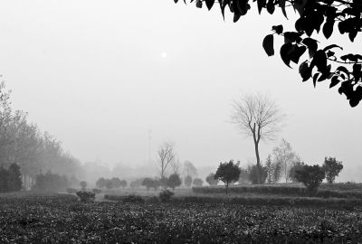 3月26日上午8點(diǎn),鄭大新校區(qū),濃濃的霧霾埋沒(méi)了大好春景。