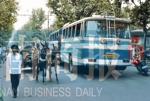 當(dāng)年的伏牛路，驢車和公交車并行