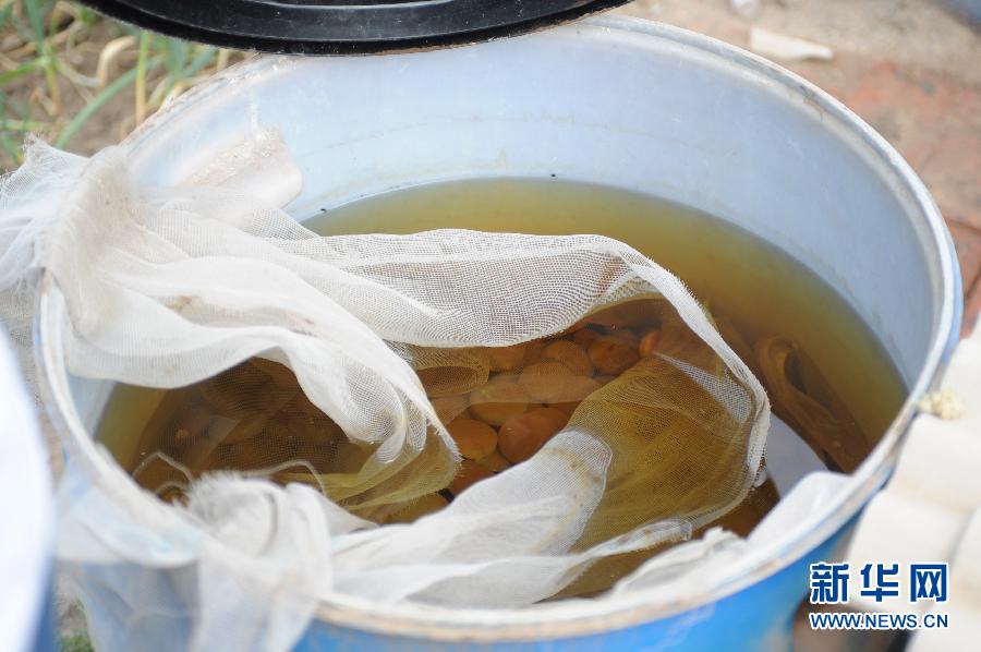 地下水成“綠茶”　污染二十多年該誰(shuí)治？