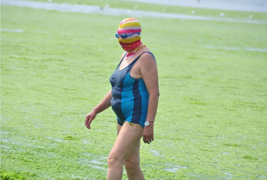 2013年7月3日，山東青島青島高溫來襲，“青島大媽”不懼滸苔，戴著“強(qiáng)盜面具”出現(xiàn)在海水浴場消暑降