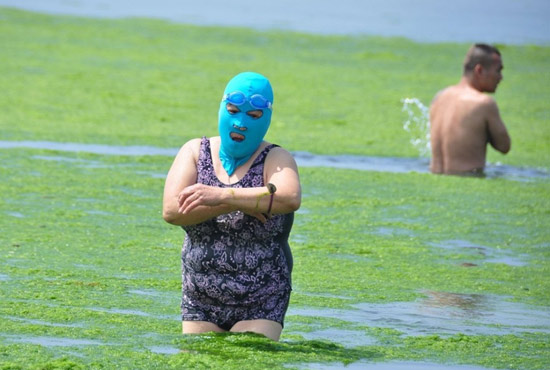 2013年7月3日，山東青島青島高溫來襲，“青島大媽”不懼滸苔，戴著“強(qiáng)盜面具”出現(xiàn)在海水浴場消暑降