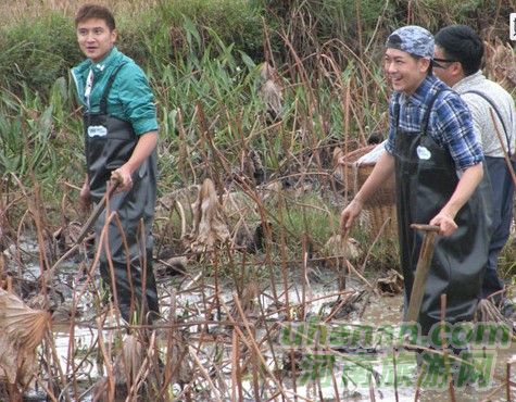 爸爸去哪兒？親密接觸荷花仙子