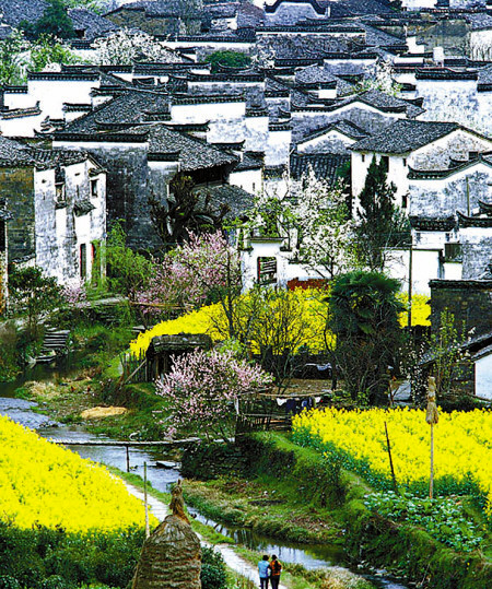 如何拍攝油菜花？達(dá)人教你7個(gè)拍攝技巧