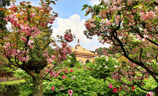 麻辣冬日二三五，芳菲三月看峨眉