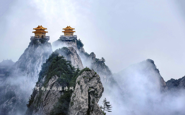 情定老君山 喊出你的愛(ài) 趕緊行動(dòng)吧！