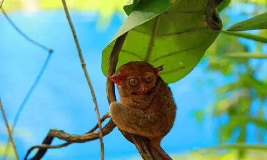 適合在冬天旅游的十個絕美海島！