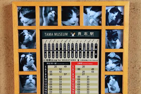 全球最萌車站 站長是只貓 全球最萌車站 站長是只貓