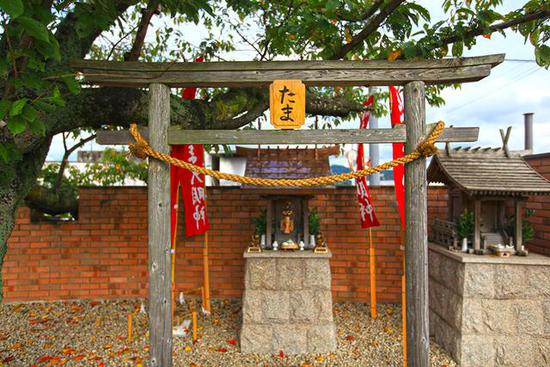 全球最萌車站 站長是只貓 全球最萌車站 站長是只貓