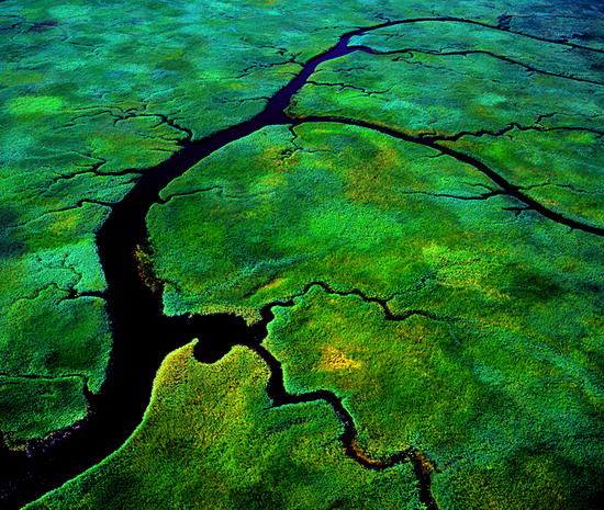 樂(lè)享綠色夏日 濕地公園生態(tài)親水之旅 樂(lè)享綠色夏日 濕地公園生態(tài)親水之旅