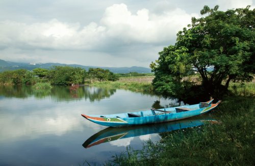 關(guān)渡賞鳥(niǎo)趣樂(lè)繽紛 關(guān)渡賞鳥(niǎo)趣樂(lè)繽紛