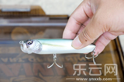 　　又稱擬餌釣魚,起源于歐洲,國內翻譯為“路亞”。