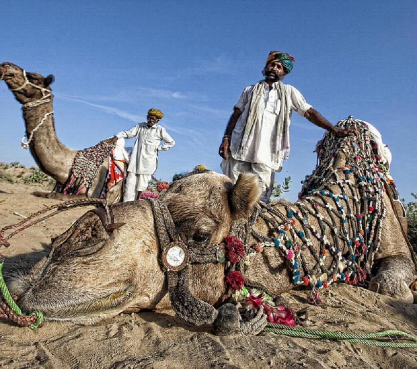 全家出國游去哪里？推薦十佳旅游勝地