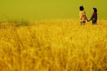 缺少愛情的城市:上海 缺少愛情的城市:上海