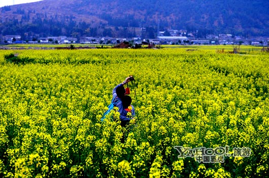　　不論從人文氣息還是田園自然風(fēng)光,都值得我們?？?。(圖片來(lái)源:CFP)