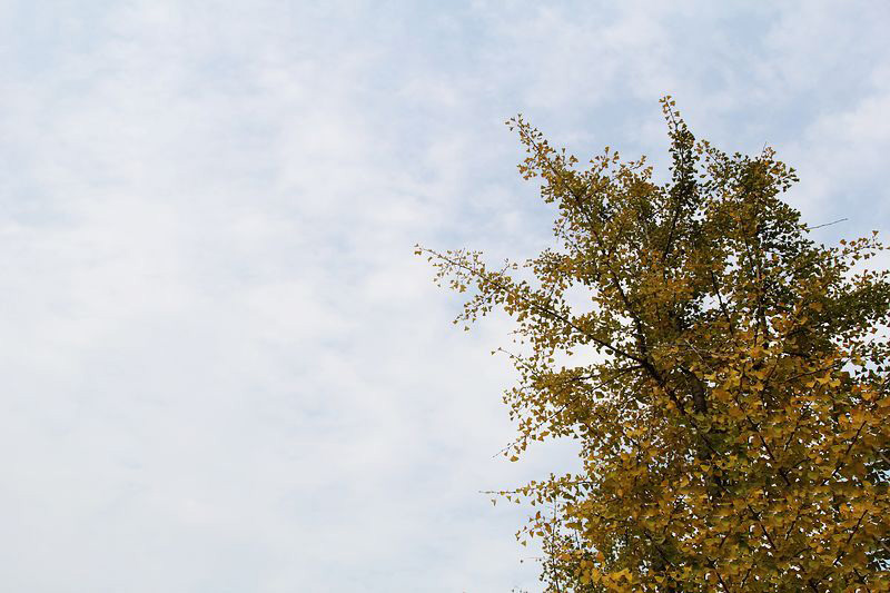 初冬旅游正此時 騎行走進(jìn)黃河風(fēng)景名勝區(qū)