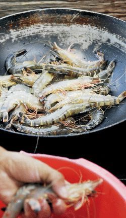 海鮮排擋是這里不可錯(cuò)過(guò)的一道景觀