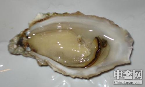 北半球好蠔不止法國(guó) 美加鮮味更足