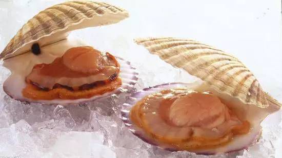 秋季最適合吃的海鮮是這10種 你吃對(duì)了嗎？