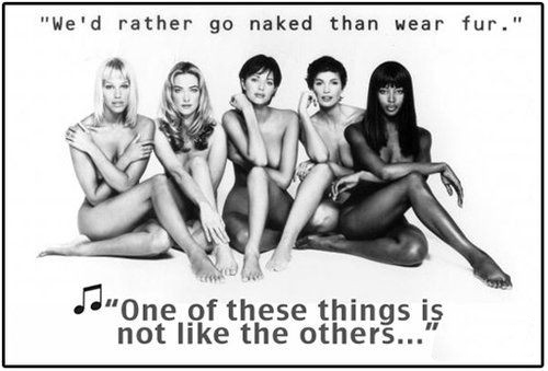 時(shí)尚圈第一組群?？棺h皮草大片