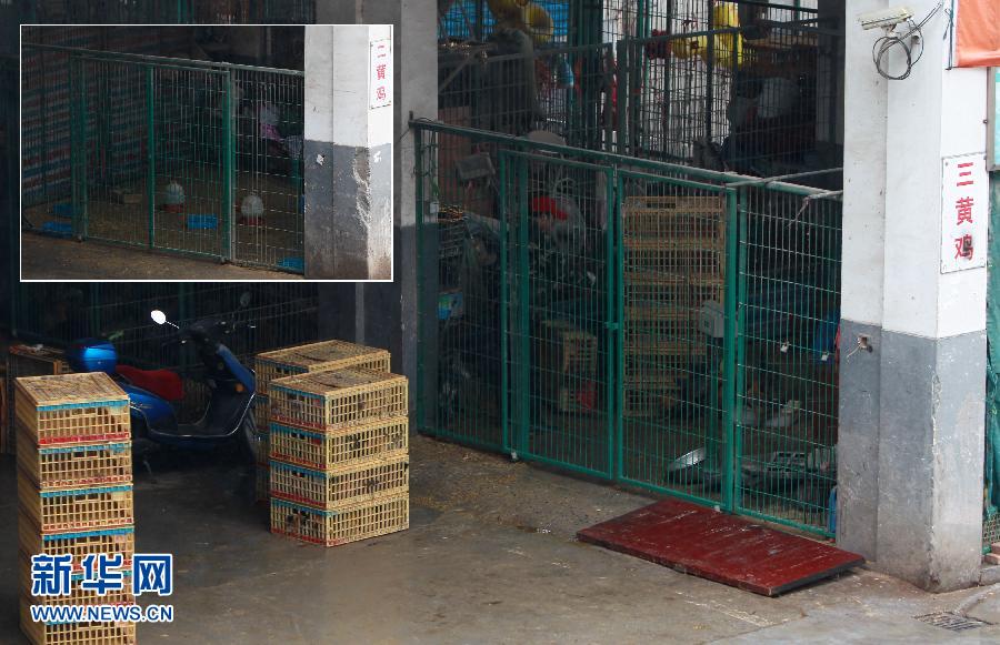 上海6日起暫停活禽交易 關閉所有活禽交易市場