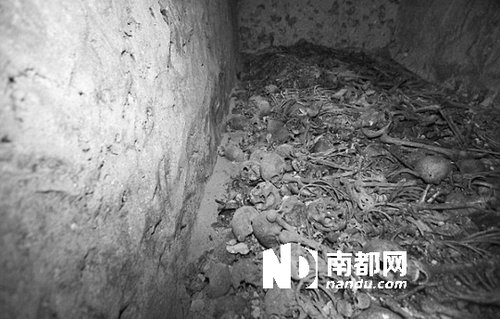 　5月29日，在以色列特拉維夫市雅法地區(qū)，一處集體墳?zāi)贡话l(fā)現(xiàn)。