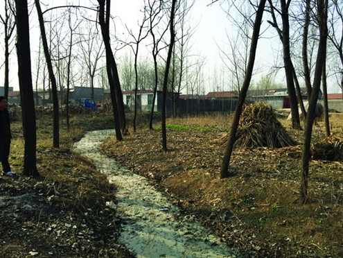 486臺兒莊戰(zhàn)役將士埋骨荒野 紀念設(shè)施或年內(nèi)落成 486臺兒莊戰(zhàn)役將士埋骨荒野 紀念設(shè)施或年內(nèi)落成