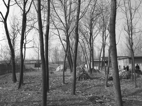 486臺兒莊戰(zhàn)役將士埋骨荒野 紀念設(shè)施或年內(nèi)落成 486臺兒莊戰(zhàn)役將士埋骨荒野 紀念設(shè)施或年內(nèi)落成