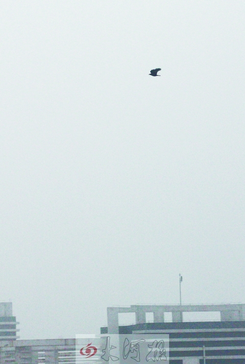 全省35個縣市發(fā)布惡劣天氣預(yù)警信號，其中15個發(fā)布大霧紅色預(yù)警