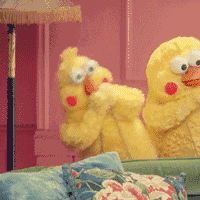 南京一小區(qū)內(nèi)28條蟒蛇盤(pán)踞 養(yǎng)它們的竟是90后小伙