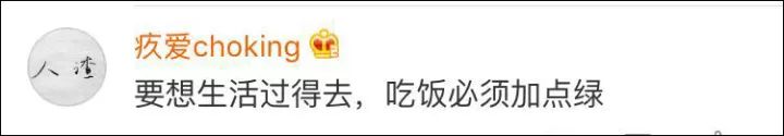 換北方人驚呆!南方人點(diǎn)菜一定加青菜 色號(hào)都有要求 換北方人驚呆!南方人點(diǎn)菜一定加青菜 色號(hào)都有要求