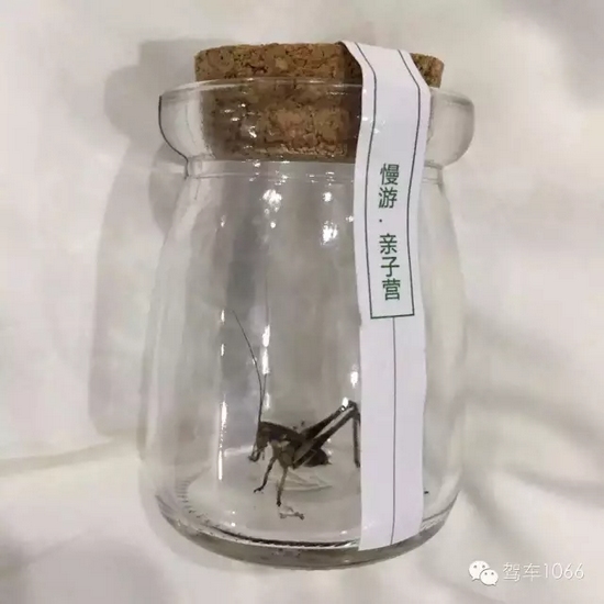 看看我的成果吧！