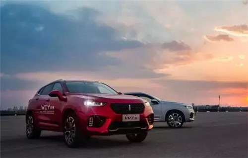 去年“蹦”出來(lái)的新汽車品牌們，現(xiàn)在活得怎么樣了？